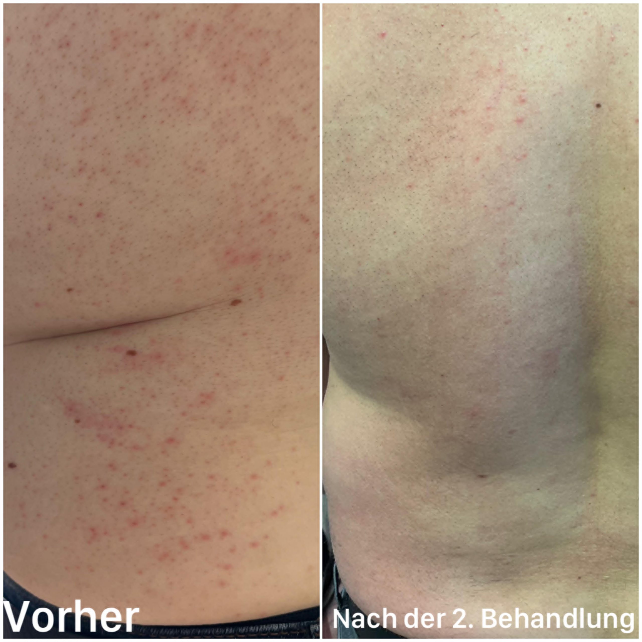 f454a24e-bfa1-46ec-8d28-a2c562ee7ec6